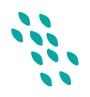 Decorative Shape